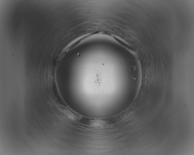 X0000070210226200606021303