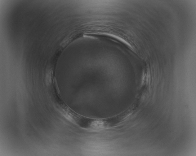 X0000070210227200606021303