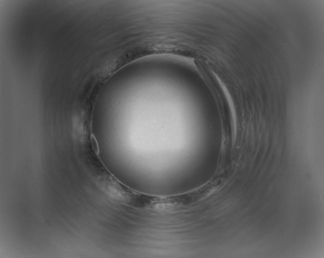 X0000070210228200606021303