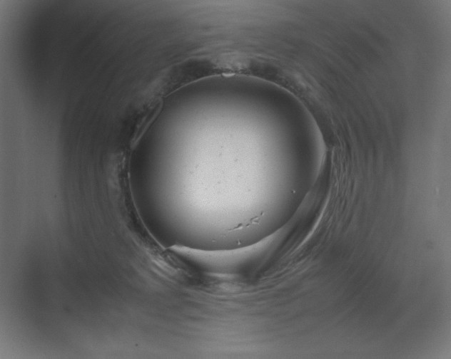 X0000070210229200606021303