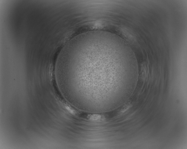 X0000070210230200606021303