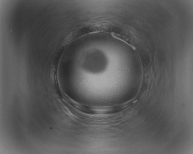 X0000070210231200606021303