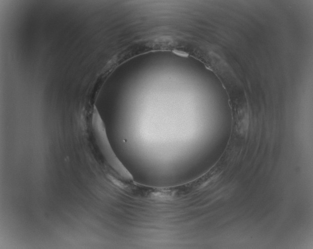 X0000070210232200606021303