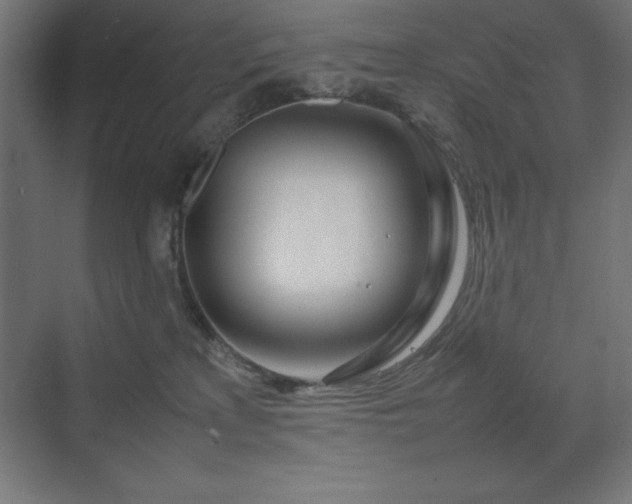 X0000070210233200606021303