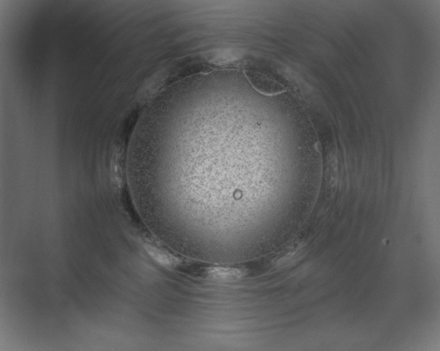 X0000070210234200606021303