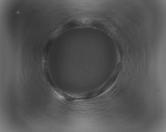 X0000070210235200606021303