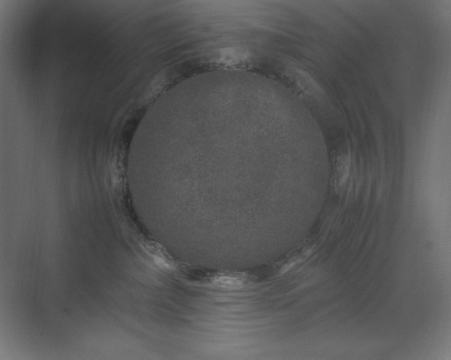 X0000070210236200606021303