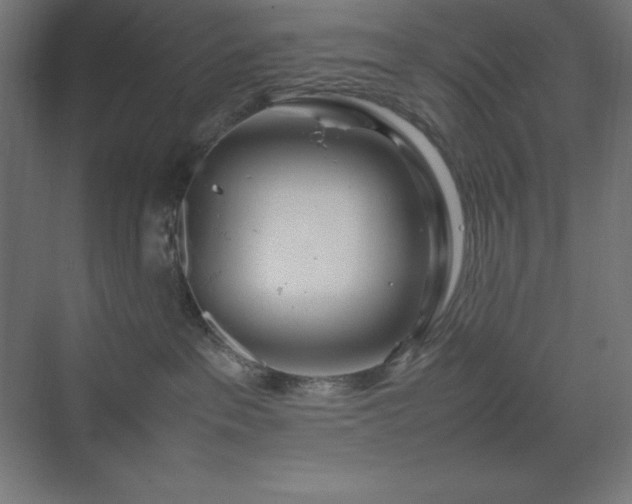 X0000070210237200606021303