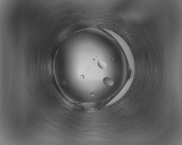 X0000070210238200606021303