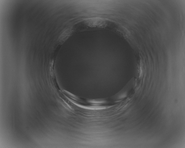 X0000070210239200606021303