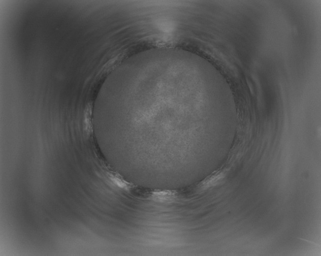 X0000070210240200606021303