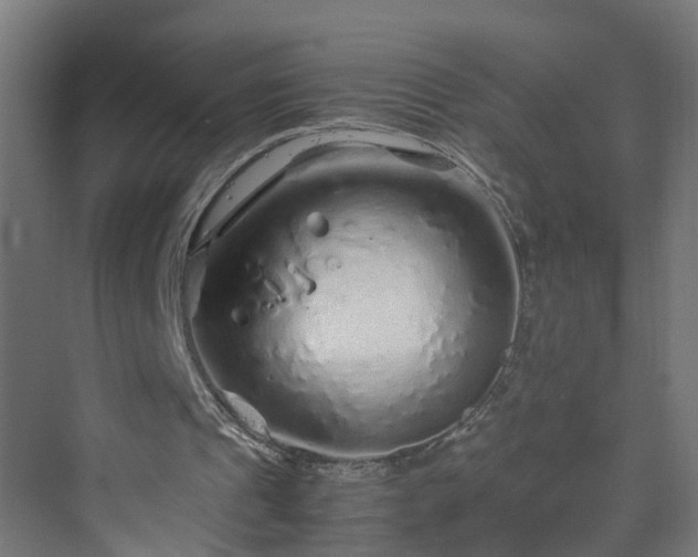 X0000070210241200606021302