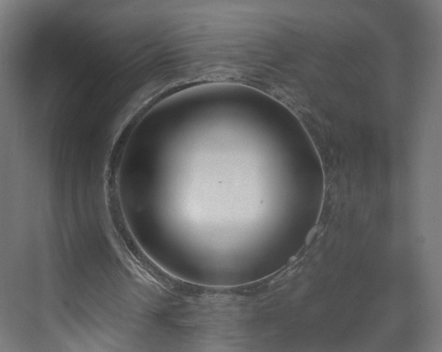 X0000070210242200606021302