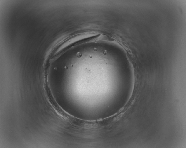 X0000070210245200606021302