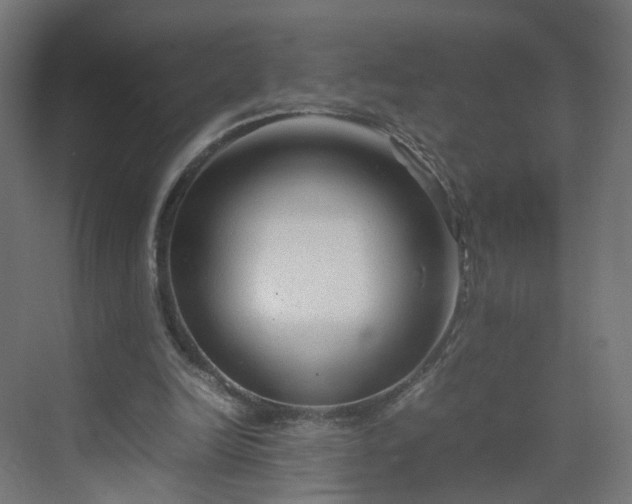 X0000070210246200606021302