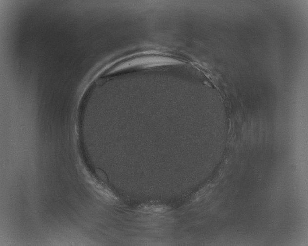 X0000070210247200606021302