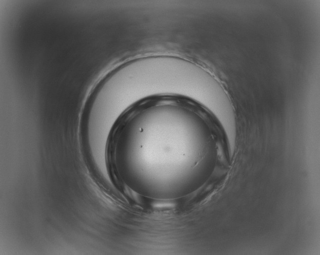 X0000070210248200606021302