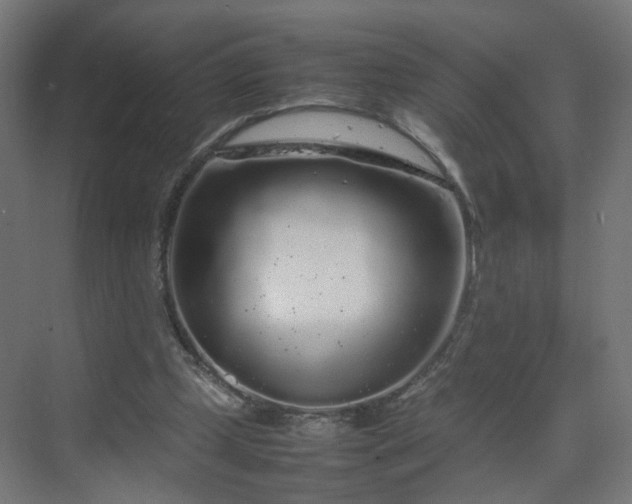 X0000070210249200606021302