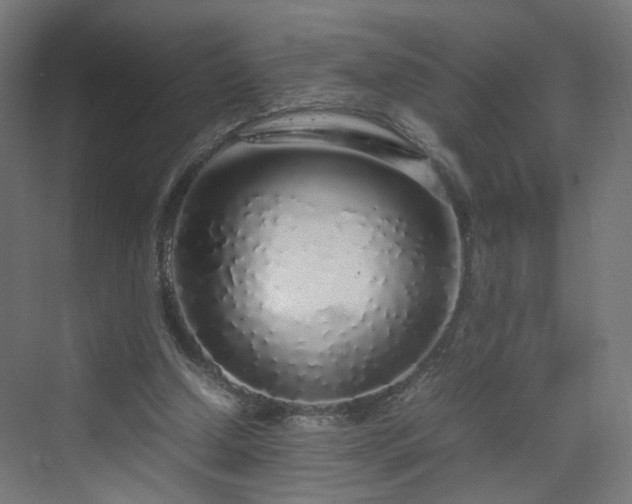 X0000070210250200606021302