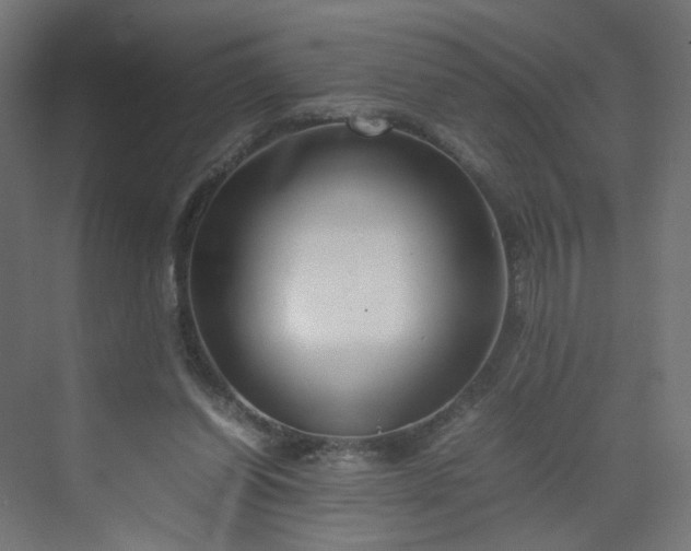 X0000070210254200606021303