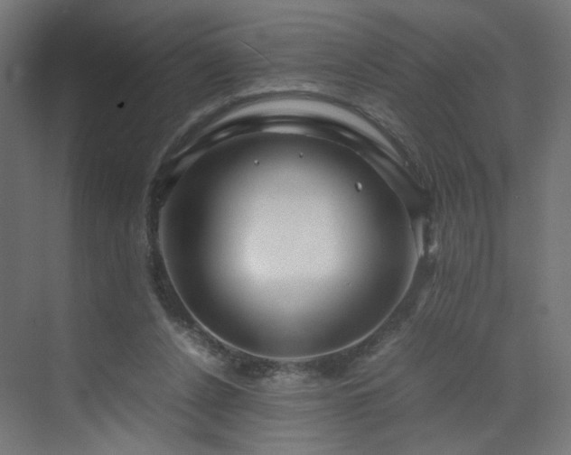 X0000070210256200606021303