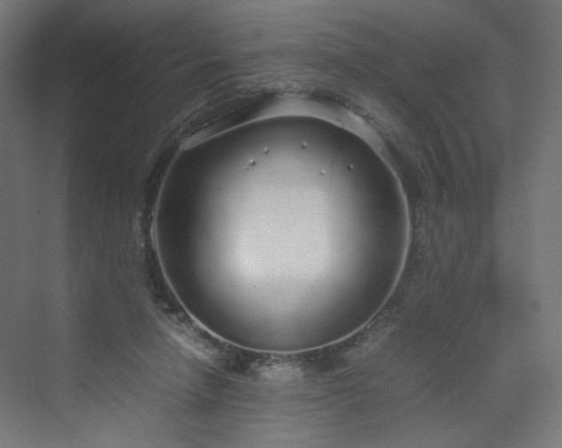 X0000070210258200606021303