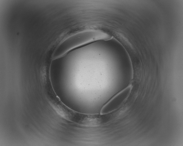 X0000070210260200606021303