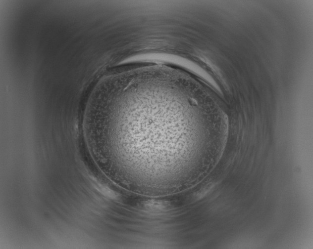 X0000070210261200606021303