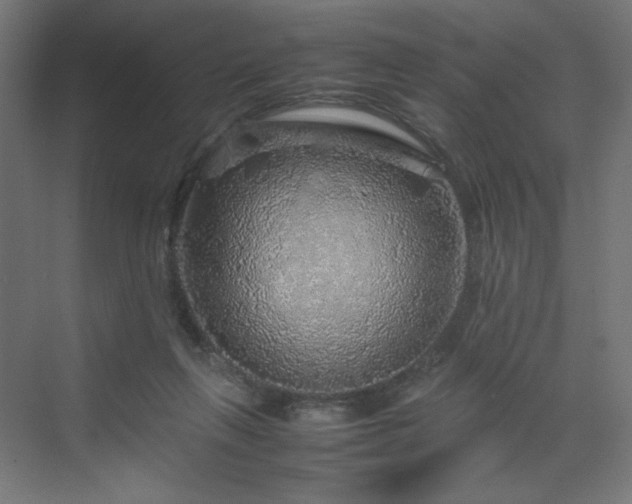 X0000070210263200606021303