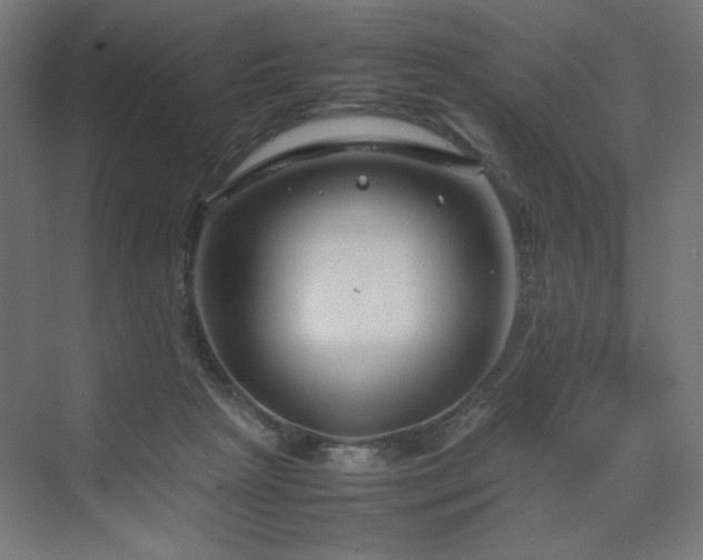 X0000070210265200606021303