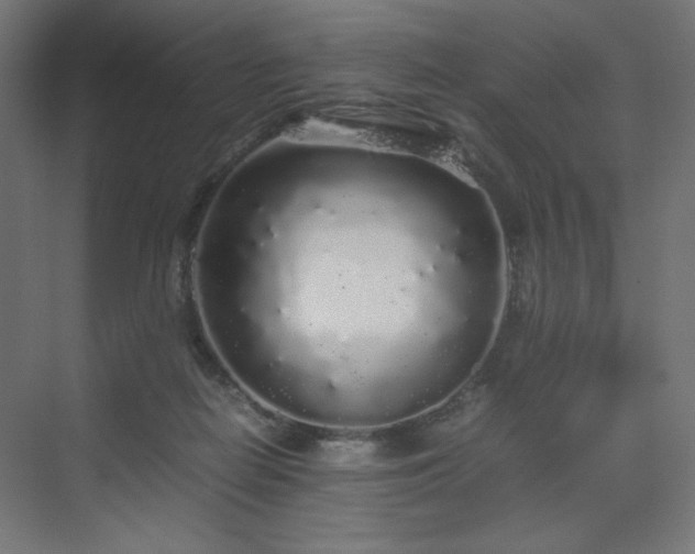 X0000070210266200606021303