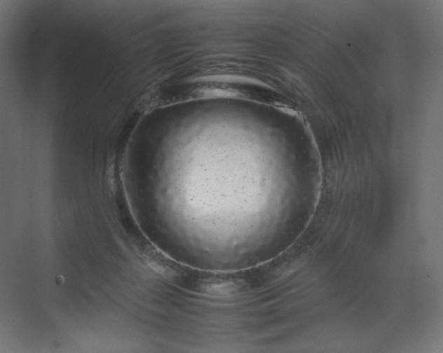 X0000070210267200606021303