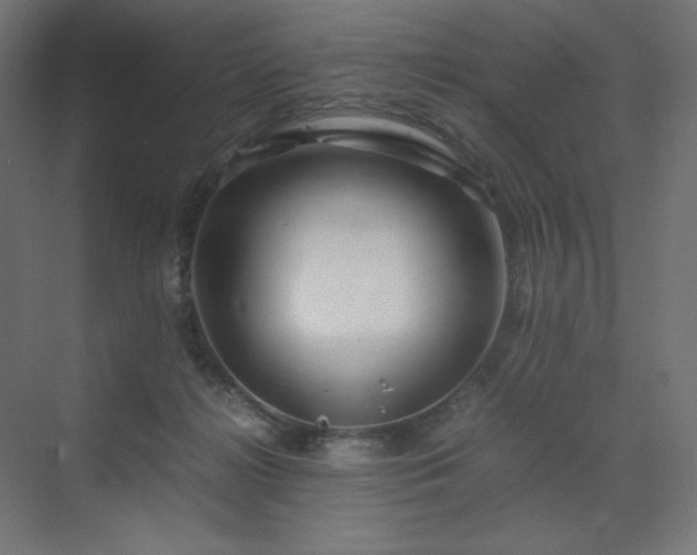 X0000070210268200606021303