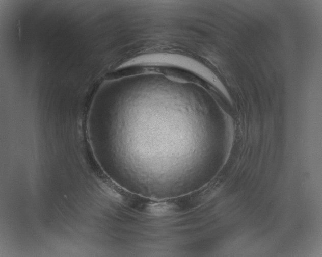 X0000070210269200606021303