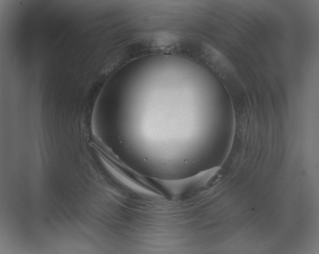 X0000070210270200606021303