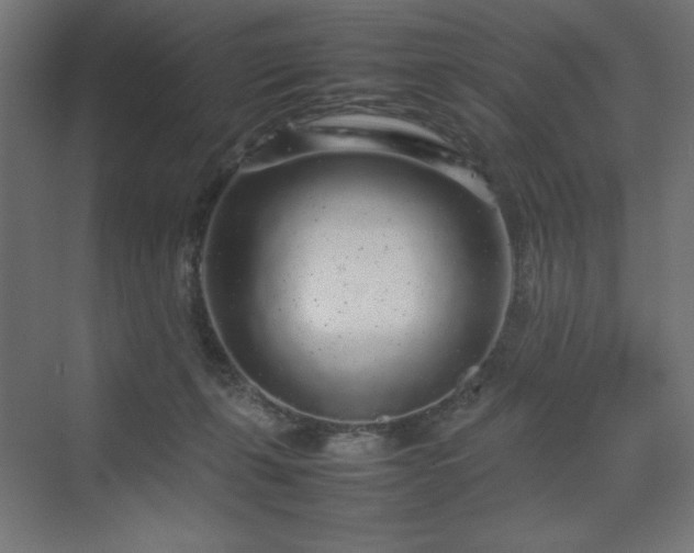 X0000070210271200606021303