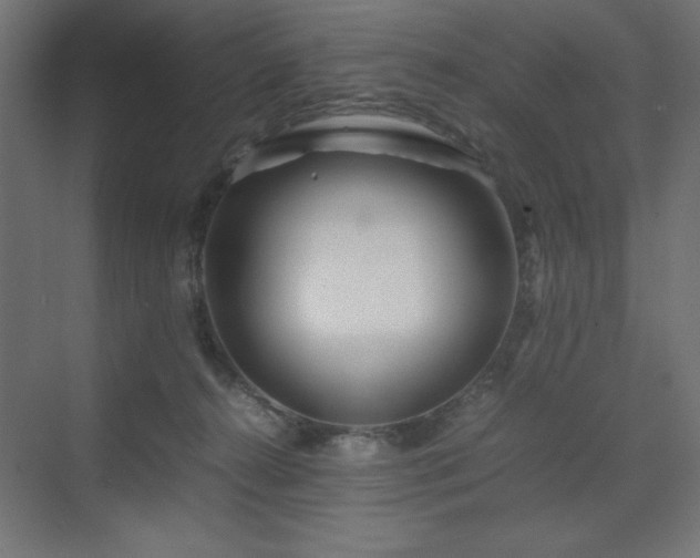 X0000070210272200606021303