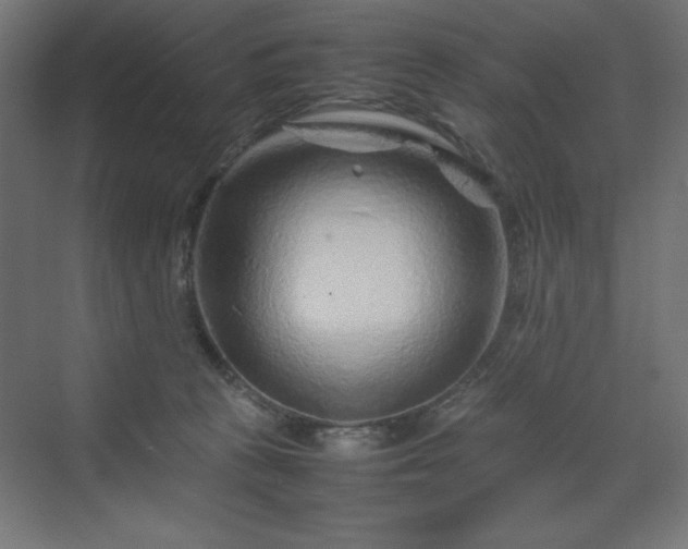 X0000070210273200606021303