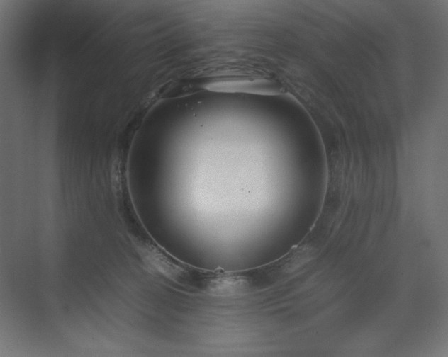 X0000070210274200606021303