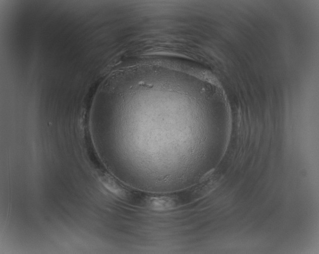 X0000070210275200606021303