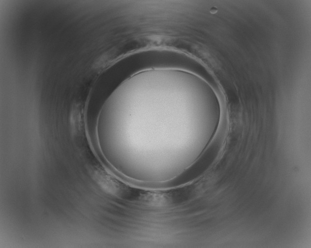 X0000070210276200606021303