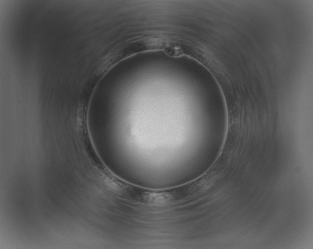 X0000070210277200606021303