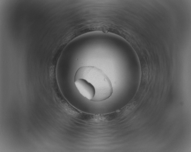 X0000070210278200606021303