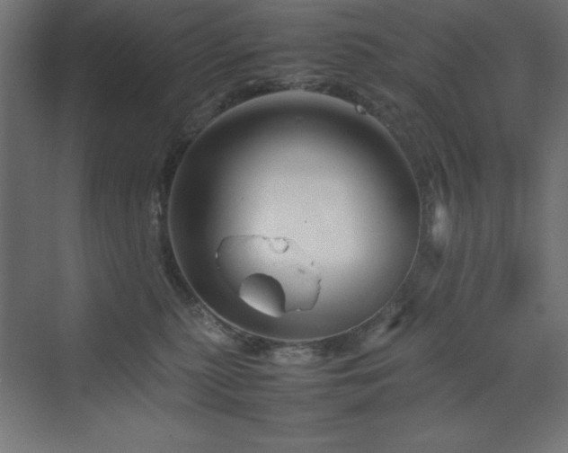 X0000070210279200606021303