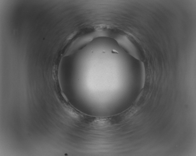 X0000070210280200606021303