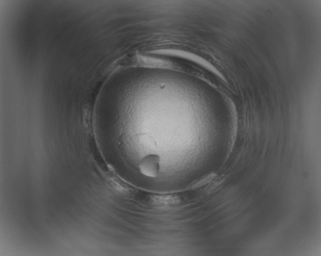 X0000070210281200606021303