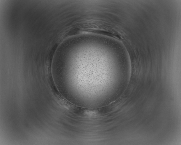 X0000070210283200606021303