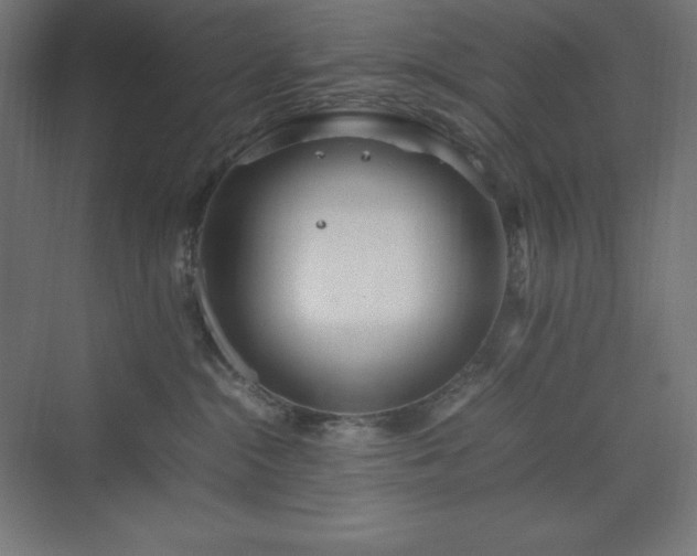 X0000070210284200606021303