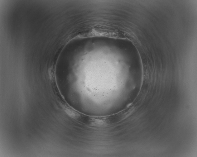 X0000070210285200606021303