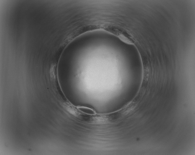 X0000070210286200606021303